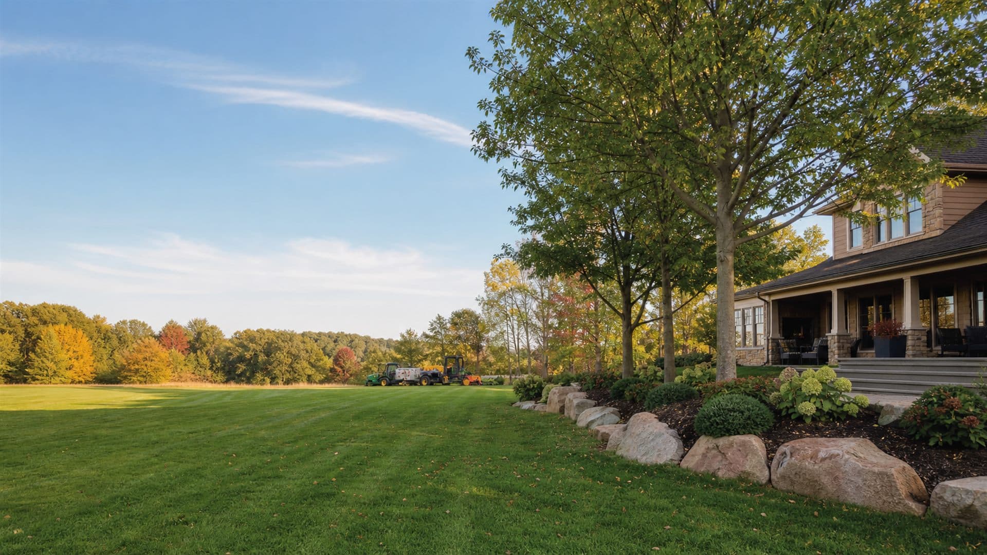 Clean finished property with healthy trees after professional tree service
